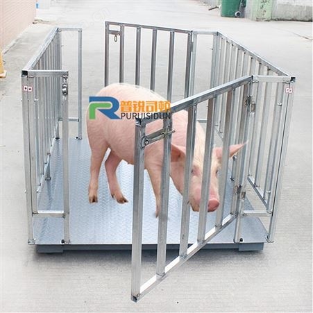 梅州称猪牛1-3吨带护栏地磅秤