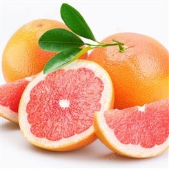 供应葡萄柚油 葡萄柚精油 原料油CAS8016-20-4 Grapefruit oil