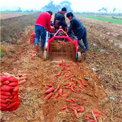 小型地瓜收获机花生马铃薯挖掘机手扶拖拉机带土豆收割机