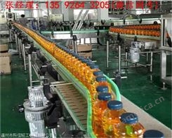 功能饮料灌装生产线6000瓶每小时600ml运动能量饮料设备