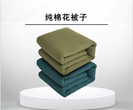 应急抗震救灾棉被 学生被褥棉花被加厚加工尺寸重量
