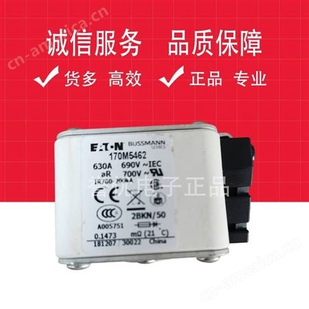 170M5462进口巴斯曼熔断器保险熔断体全新-江苏誉优电子代理