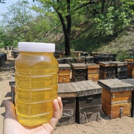 野生正宗土蜂蜜农家自产天然百花蜜深山结晶蜂蜜