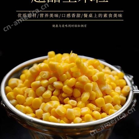 【玉米粒】杂菜/西式炸鸡汉堡原料