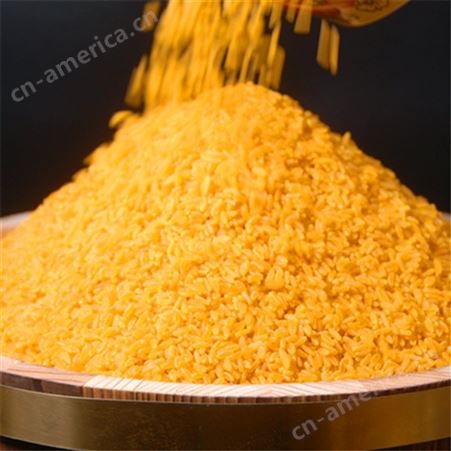 双螺杆营养强化大米生产线 山东赛百诺 70营养强化大米生产线