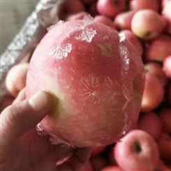 安庆市厂家红富士苹果 新鲜水果 宏远果蔬 优质供应